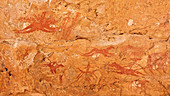 Prehistoric rock paintings,Chad