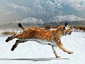 Prehistoric Iberian lynx,illustration