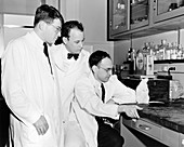 American biomedical researchers,1957