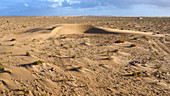 Barchan dune,Morocco