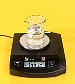 Digital scales