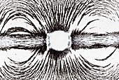 Magnetic field with iron filings