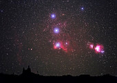Orion nebulae from the Canary Islands