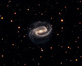 Spiral galaxy NGC 1300