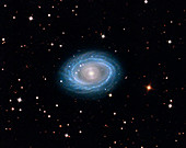 Spiral galaxy NGC 1398