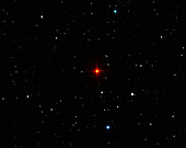 R Leporis variable star