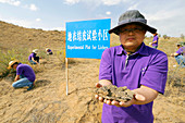 Desertification prevention research