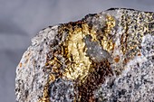 Gold in its host rock