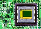 Digital camera sensor