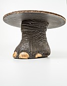 Elephant foot table