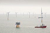 The Walney offshore wind farm