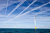 Airplane over offshore wind farm