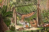 1820 Amazon Indians Puri dart frog toxin