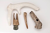 Antler tools of the European mesolithic