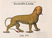 1554 Rondelets Leonine Sea monster