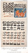 1814 Humboldt Mayan heiroglyphics