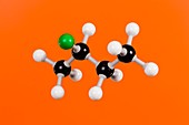 (+)-2-Chlorobutane,molecular model