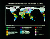 Computer map of vegetation for 18kYBP climate