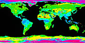 Coloured satellite radar image of the Earth
