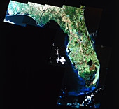 Infrared satellite image of Florida state,USA