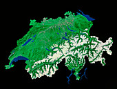 Satellite mosaic of Switzerland