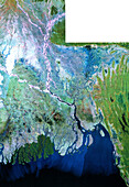 True-colour Landsat satellite mosaic of Bangladesh