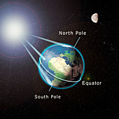 Northern hemisphere summer