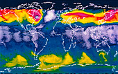 Global ozone distribution