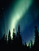 Aurora Borealis or northern lights,with comet