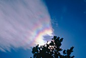 Image of iridescent cirrus clouds