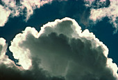 Top of a cumulus cloud