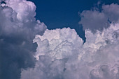 Billowing bank of cumulus clouds