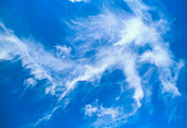 Cirrus cloud