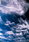 Cirrus clouds