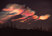 Polar stratospheric clouds