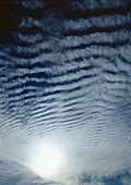 Mackerel sky