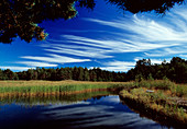 Cirrus clouds