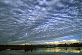 Altocumulus undulatus clouds