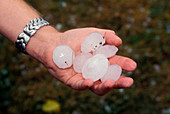 Giant hailstones