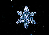 Macrophoto of snowflake