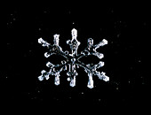 Macrophoto of snow crystal