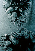 'Flowers' of hoar-frost on a window pane