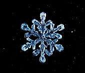 Macrophoto of a snow crystal