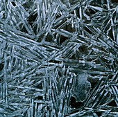 View of elongated ice crystals