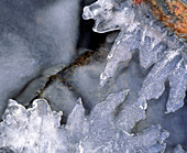 Ice crystals above running water