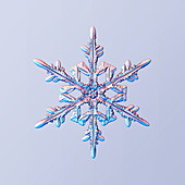 Snowflake