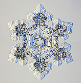 Rimed snowflake