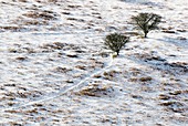 Snow on moorland