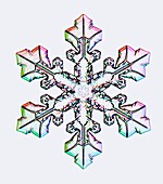 Snowflake,light micrograph