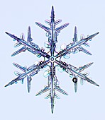 Snowflake,light micrograph